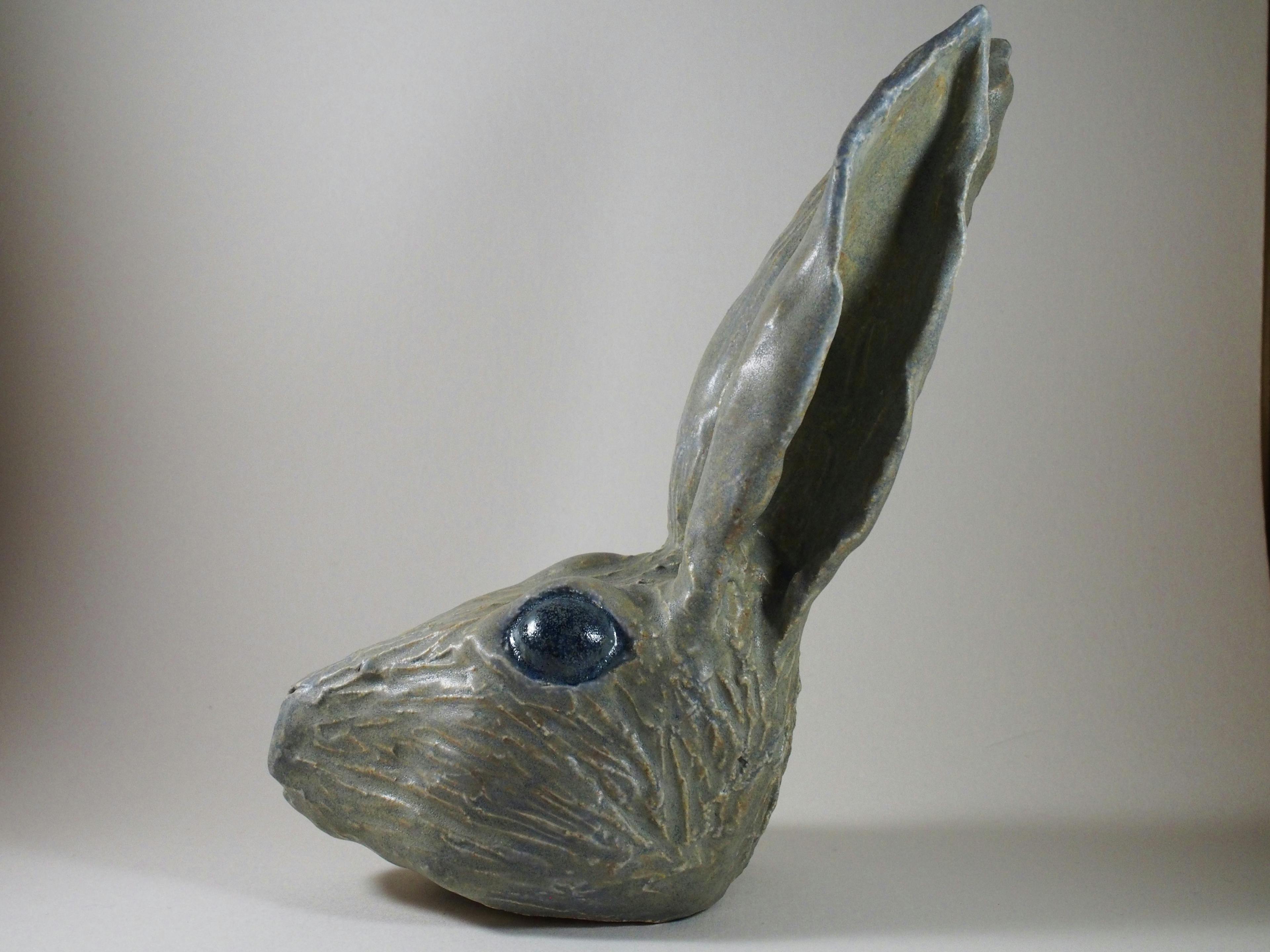 Hare's head